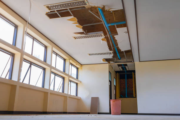 Best Water damage restoration near me  in Mansfield, MO