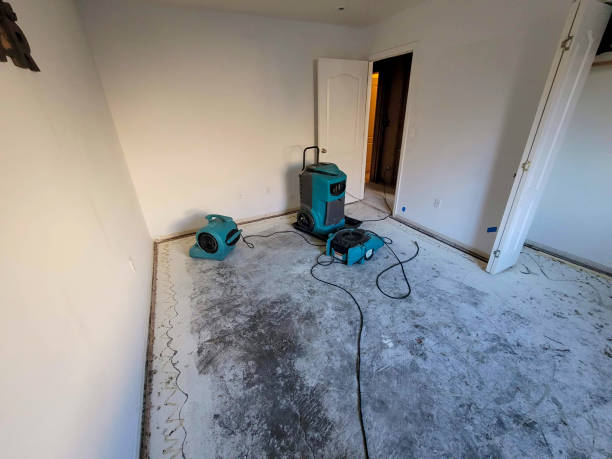 Best Basement water damage restoration  in Mansfield, MO