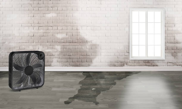 Best Water damage restoration near me  in Mansfield, MO