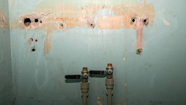 Best Emergency water extraction  in Mansfield, MO